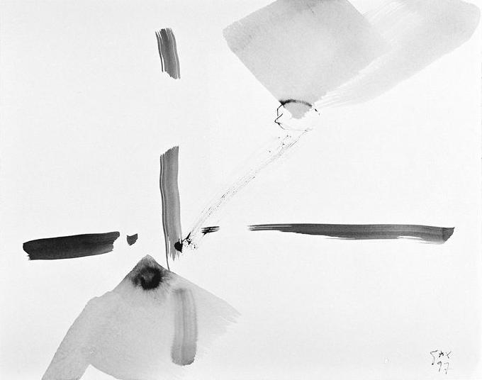 6-1997 sottile 45x56 chf 1500.jpg